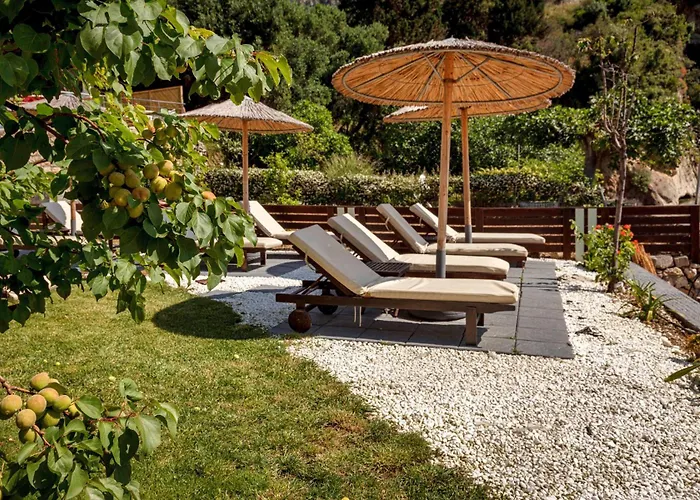 Napoleon On The アパート パレオカストリッツア